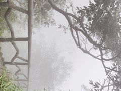 -萍乡武功山风景名胜区