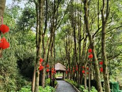 -黄山翡翠谷景区