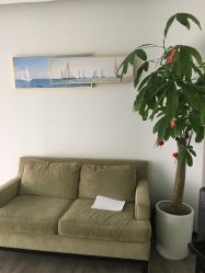 -联合丽格·张菡丽格医疗美容