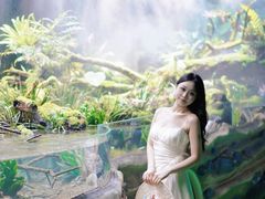 -海合安成都极地海洋公园