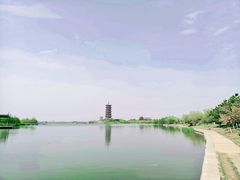 -孔子六艺文化园