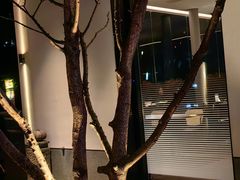 -铜锣湾·有麝自然香(渝北财富中心店)