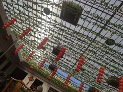 -燕北云山·农家菜·灶台鱼(密云溪翁庄店)