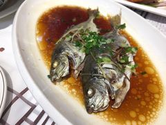 -强记海鲜·大排档(蛇口新街店)