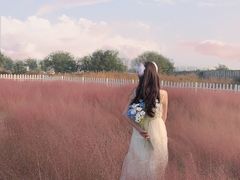 -羊亭河湿地公园