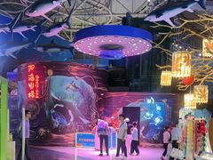 -烟台海昌鲸鲨海洋公园