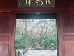 -汇龙潭