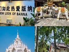 -西双版纳原始森林公园