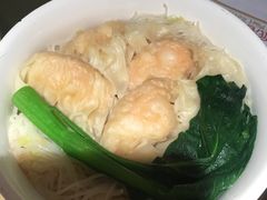 -南枝记