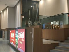 -深影国际影城(学院南路店CGS中国巨幕店)