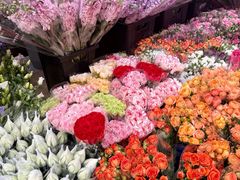 -循礼门鲜花花市(武汉循礼门店)