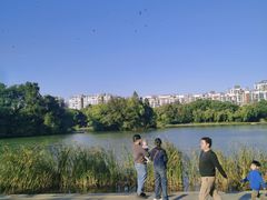 -新江湾城公园