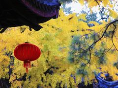 -惠山古镇·寄畅园