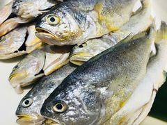 -鹭江潮餐厅•福建菜(鹭江佲家酒店)