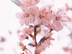 -莫愁湖公园
