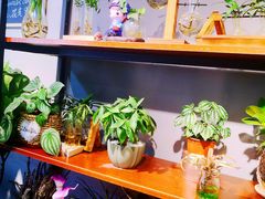 -何兮花店·气球派对鲜花店(马桥银春路万科城店)