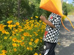 -西部长青自然儿童乐园