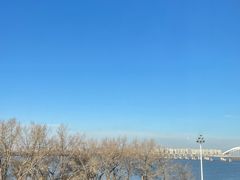 -圣彼得堡观江俄餐厅(中央大街黑金冠店)