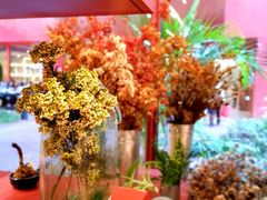 -二酉书店TOYOU BOOKS