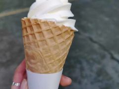 -蜜雪冰城·冰激凌与茶(瑞安吾悦店)