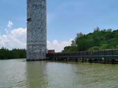 -东寨港红树林旅游区