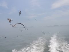 -海驴岛(荣成市)