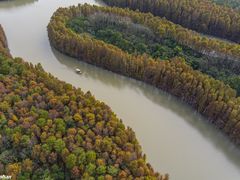 -上海海湾国家森林公园