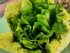 -墨脱石锅椰子鸡•香草鸭•东山羊(大东海店)