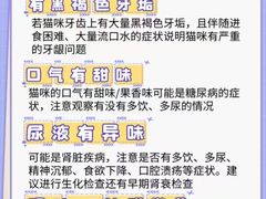 -御宝贝·A梦猫科宠物医院(国际猫友好医院)