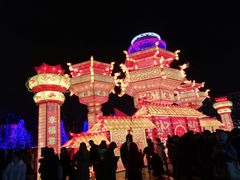 -雁滩公园