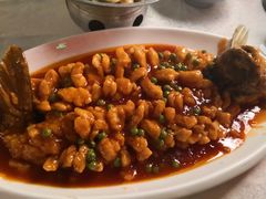松鼠鱼-乾园(天河城店)