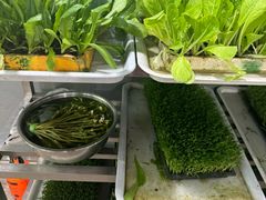 -阳光山水江湖菜馆(西山龙门店)