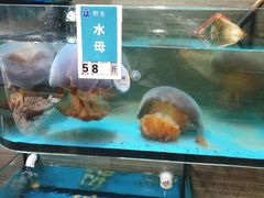 水产区-金海湾海鲜总店