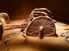 -洛阳周王城天子驾六博物馆