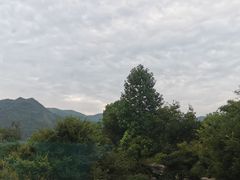 -浙江安吉JW万豪酒店