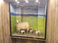 -清真·益鑫羊肉手抓馆(花园北街店)