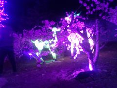 -宝泉胜境旅游度假区