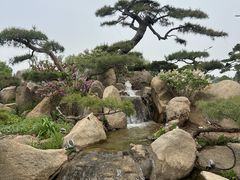 -罗红摄影艺术馆