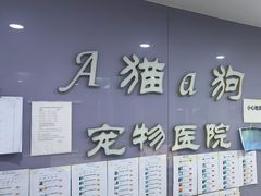 -A猫a狗全科·犬猫异宠·芥西宠物医院(南开总院)