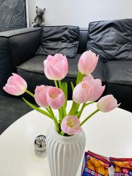 -春田皮肤管理中心品牌旗舰店