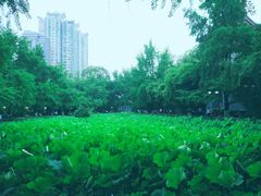 -四川大学(华西校区)