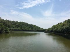 -李小龙乐园(顺德均安店)
