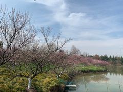 -上海海湾国家森林公园