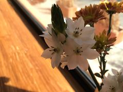 -Catch Bagel(芳草地店)