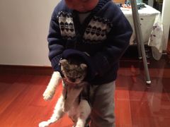 -Bastet sally猫舍购宠(静安店)