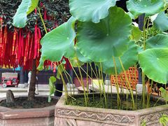 -古大圣慈寺