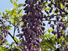 -玄武湖景区-情侣园游乐场