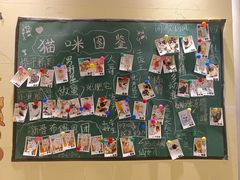 -藏猫猫咖啡主题馆(中央大道店)