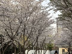 -南京明基医院