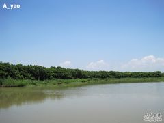 -大湾区中央湿地公园